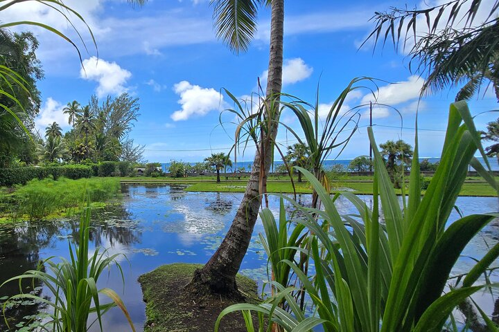 Vaipahi water garden